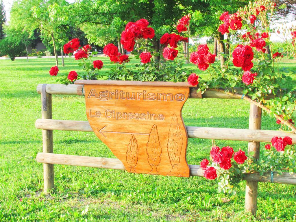Agriturismo Le Cipressine Meolo Exterior photo