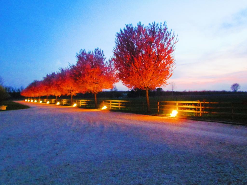 Agriturismo Le Cipressine Meolo Exterior photo