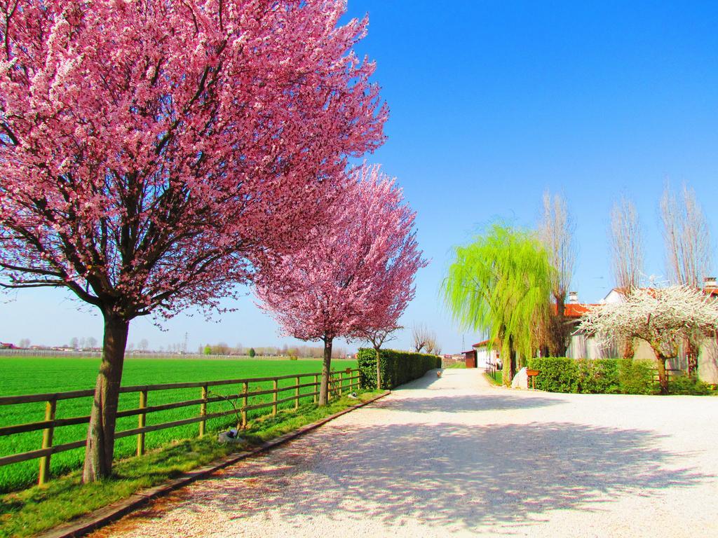Agriturismo Le Cipressine Meolo Exterior photo